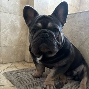 Meet your Posher, Isaac